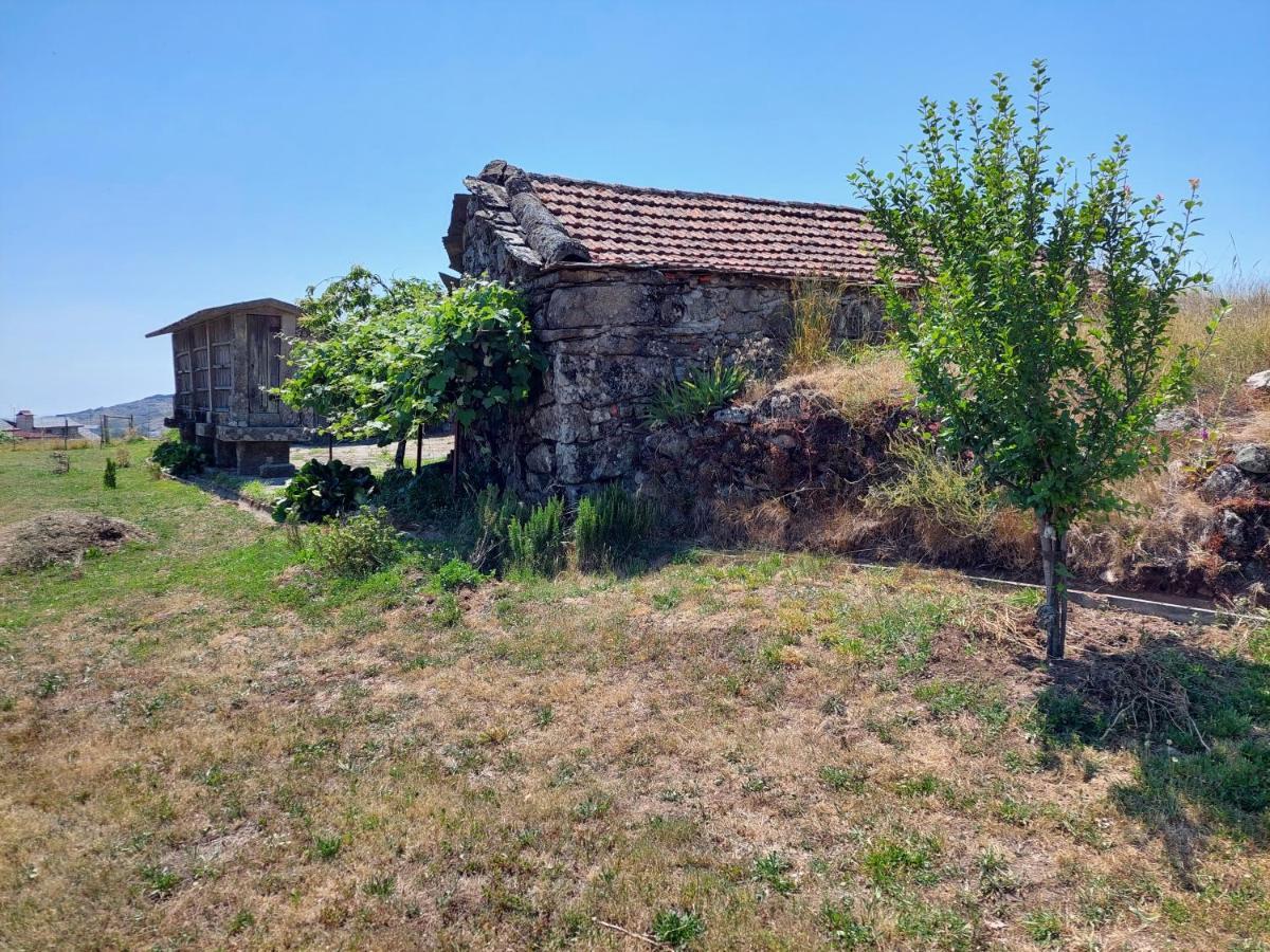 Vila Casa Do Sobrado Arouca Exteriér fotografie